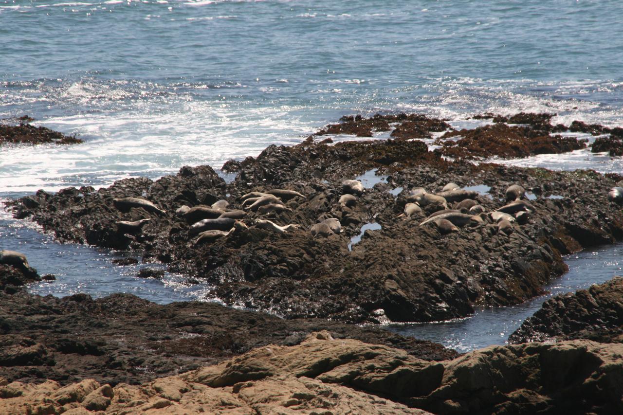 The Oceanfront Gasthof